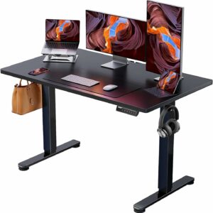 ErGear Height Adjustable Electric Standing Desk, 48 x 24 Inches Sit Stand up Desk, Memory Computer Home Office Desk with Two-Piece Desktop (Black)